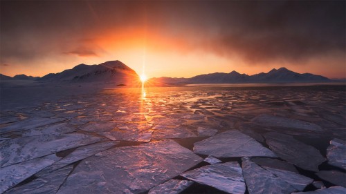 午夜的太阳，挪威斯瓦尔巴群岛 (© Nature Picture Library/Alamy)