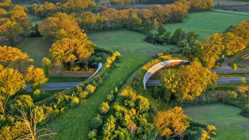 维尔登的野生动物通道，荷兰 (© Frans Lemmens/Alamy)