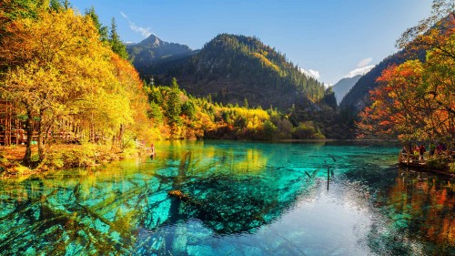 五花海，阿坝九寨沟旅游景区，四川省，中国 (© Michael Ver Sprill/Getty Images)